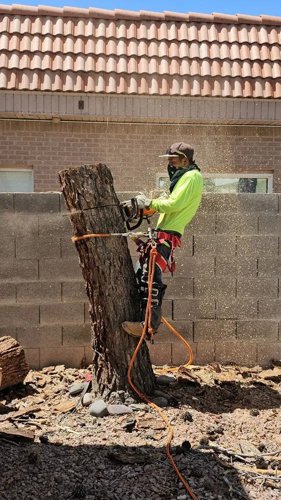 Top-rated lawn mowing service in Las Vegas, NV by Flower Landscaping