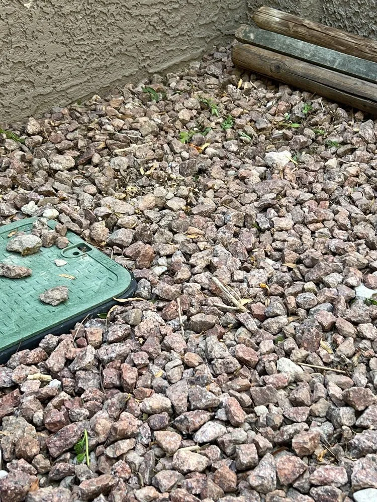 Top-rated landscape installation in Las Vegas, NV - Flower Landscaping