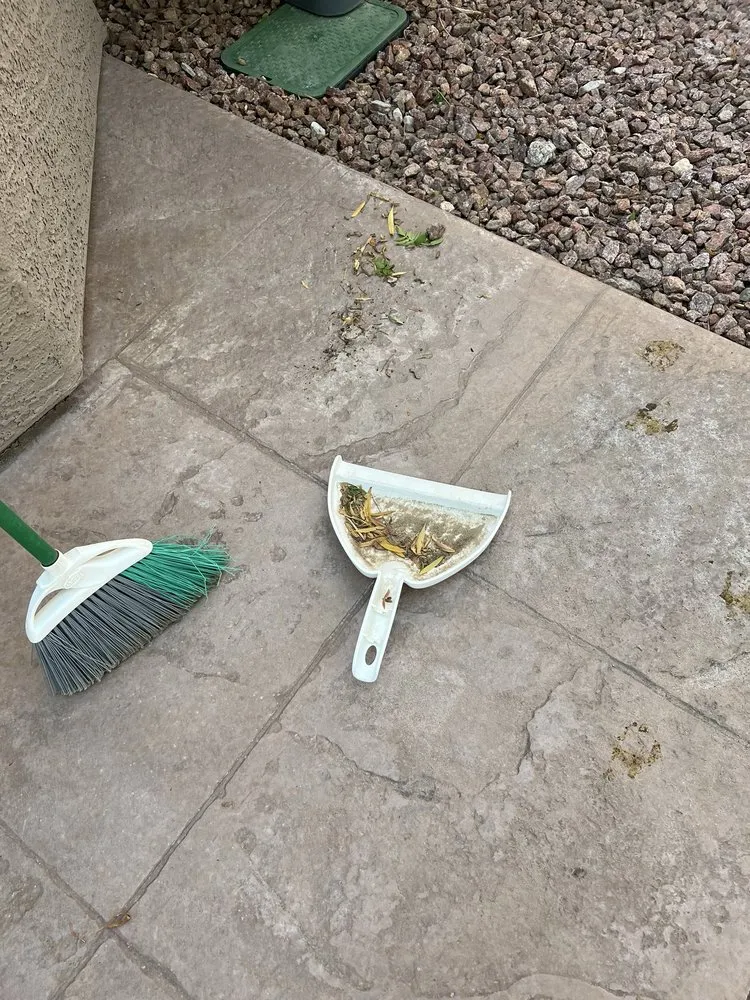 Expert landscaping services in Las Vegas, NV - Flower Landscaping