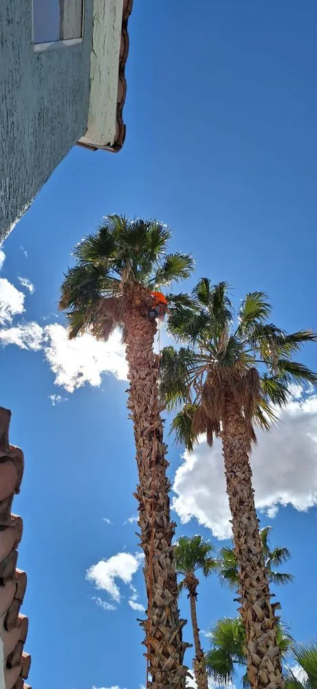 Professional lawn care service in Las Vegas, NV - Flower Landscaping