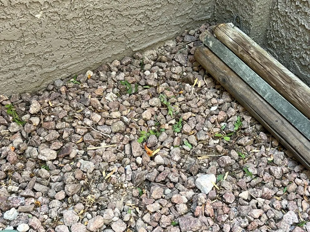 Custom lawn care service with custom design across Las Vegas, NV - Flower Landscaping