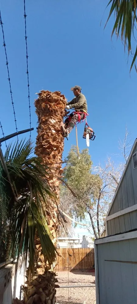 Affordable outdoor landscaping for homes in Las Vegas, NV by Flower Landscaping