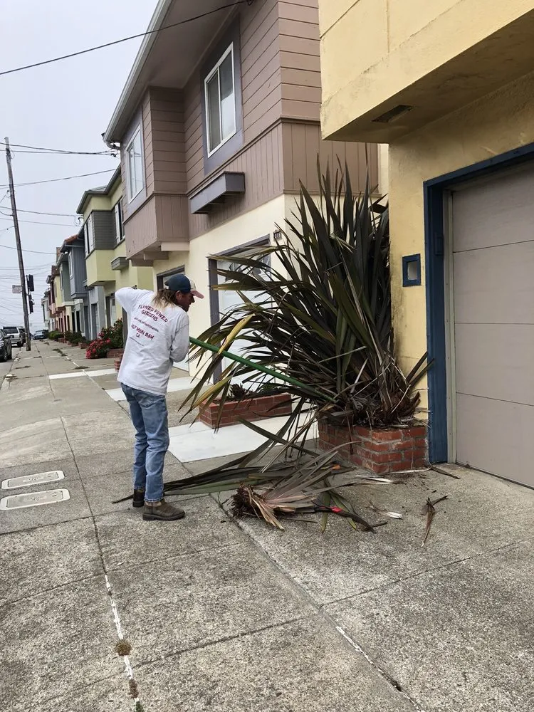 Affordable landscape installation near you across Half Moon Bay, CA - Flower Power Gardens