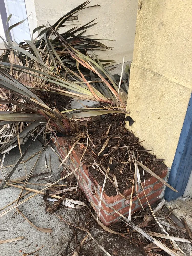 Local landscaping services for outdoor upgrades in Half Moon Bay, CA by Flower Power Gardens