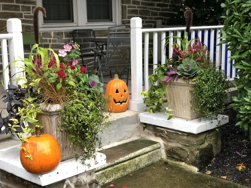 Top-rated landscaping services in Philadelphia, PA - Flower Powered