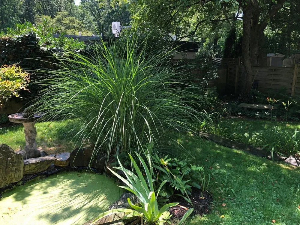 Professional residential landscaping in Philadelphia, PA by Flower Powered