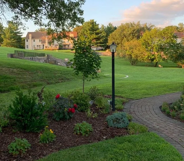 Professional landscape design in Philadelphia, PA - Flower Powered