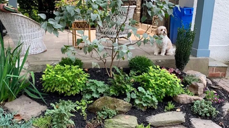 Expert yard maintenance in Philadelphia, PA - Flower Powered