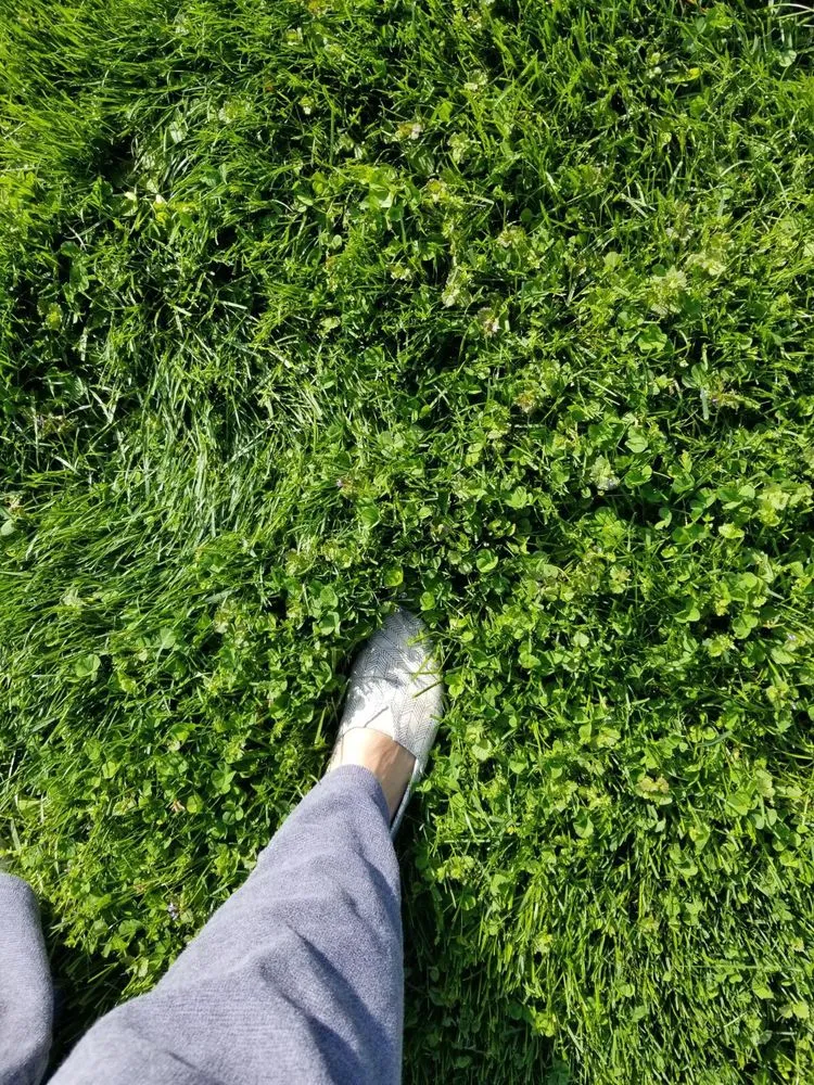 Expert landscape installation for year-round maintenance across Gaithersburg, MD - Flower Valley Landscaping