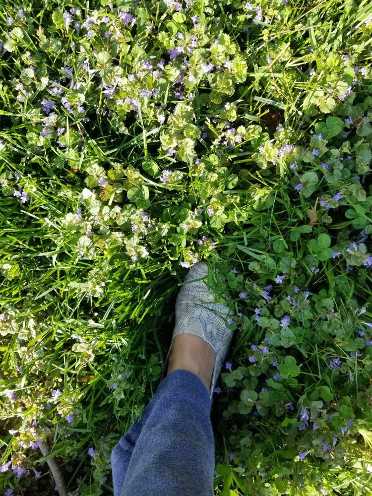 Professional lawn care service experts serving Gaithersburg, MD - Flower Valley Landscaping