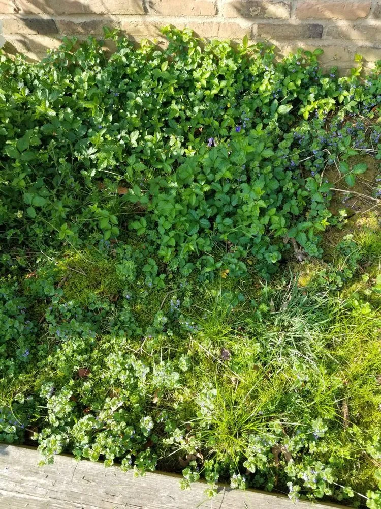 Custom landscape design in Gaithersburg, MD - Flower Valley Landscaping