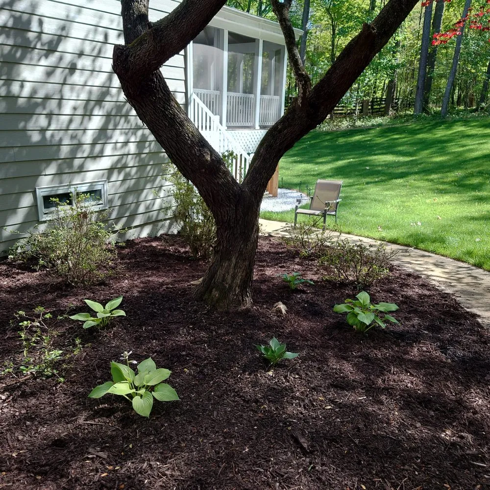Top-rated yard maintenance in Atlanta, GA by Flowerbed Creations