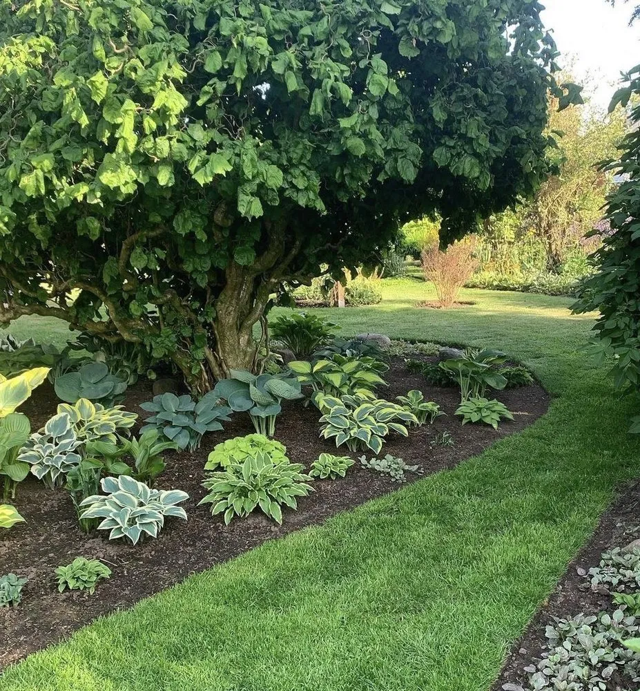 Custom lawn care service for homes across Atlanta, GA - Flowerbed Creations