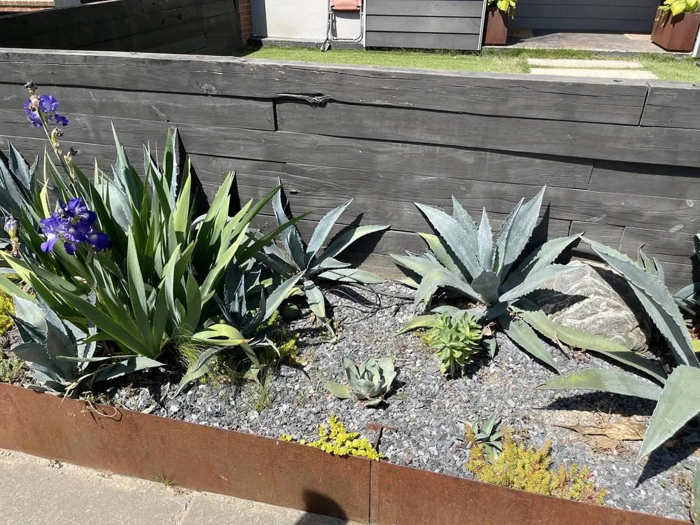 Professional landscaping services experts serving Atlanta, GA - Flowerbed Creations