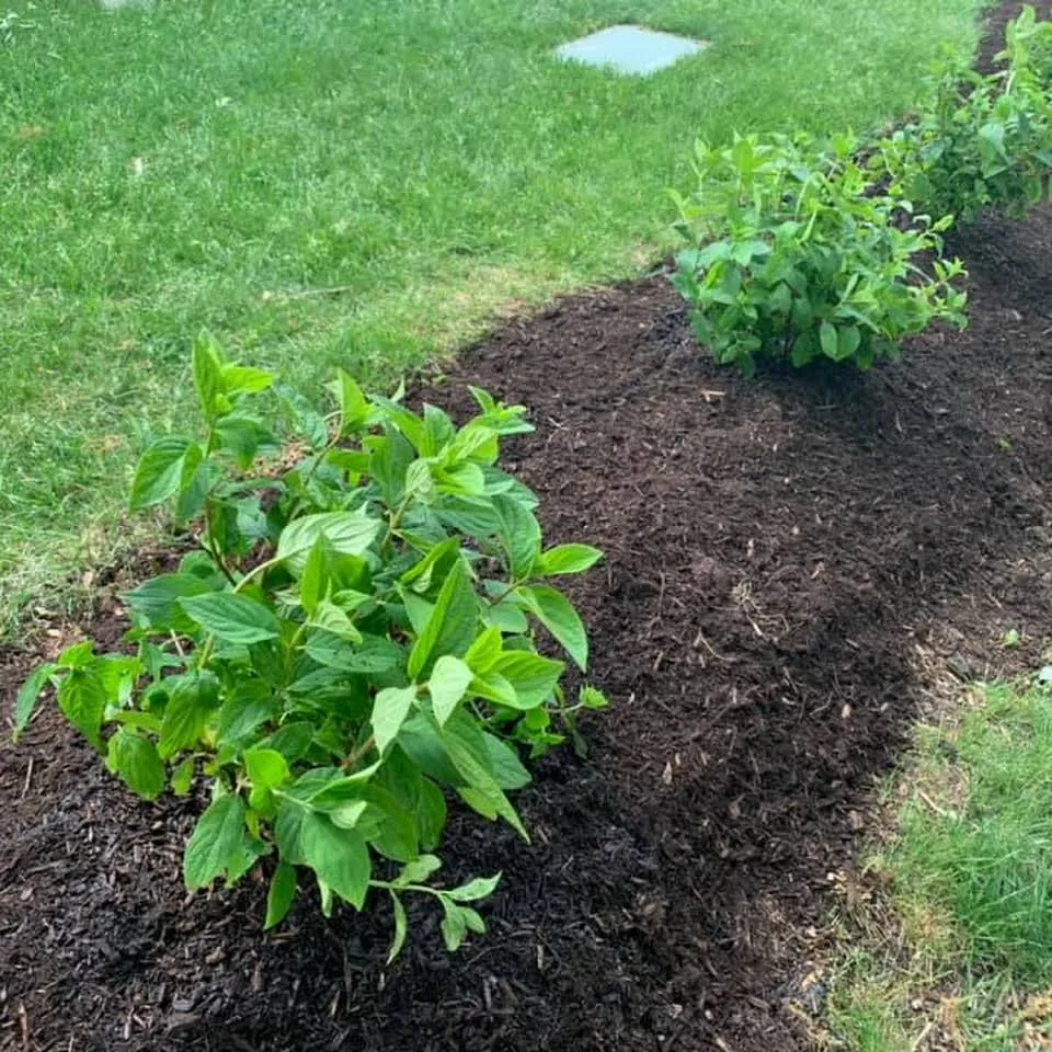Expert landscape installation for homes in Harwich, MA by Flowerbed landscaping