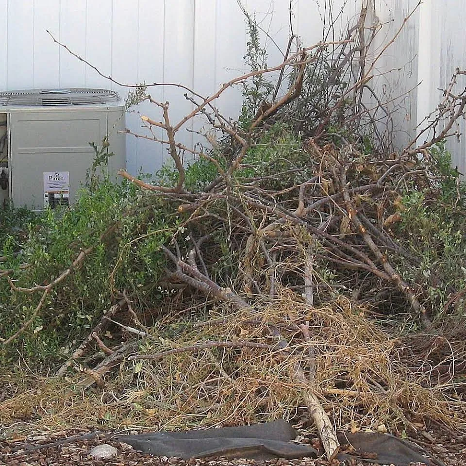 Trusted lawn care service for year-round maintenance in Harwich, MA by Flowerbed landscaping