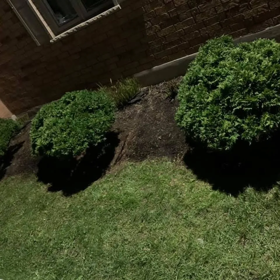 Professional lawn mowing service with custom design across Harwich, MA - Flowerbed landscaping