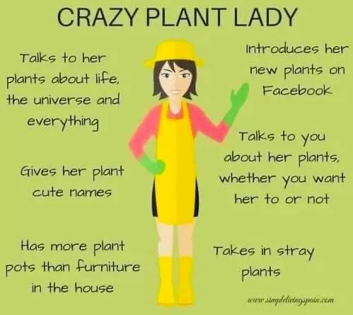 Top-rated landscaping services for outdoor upgrades across Wellington, KS - Flowerbeds Etc