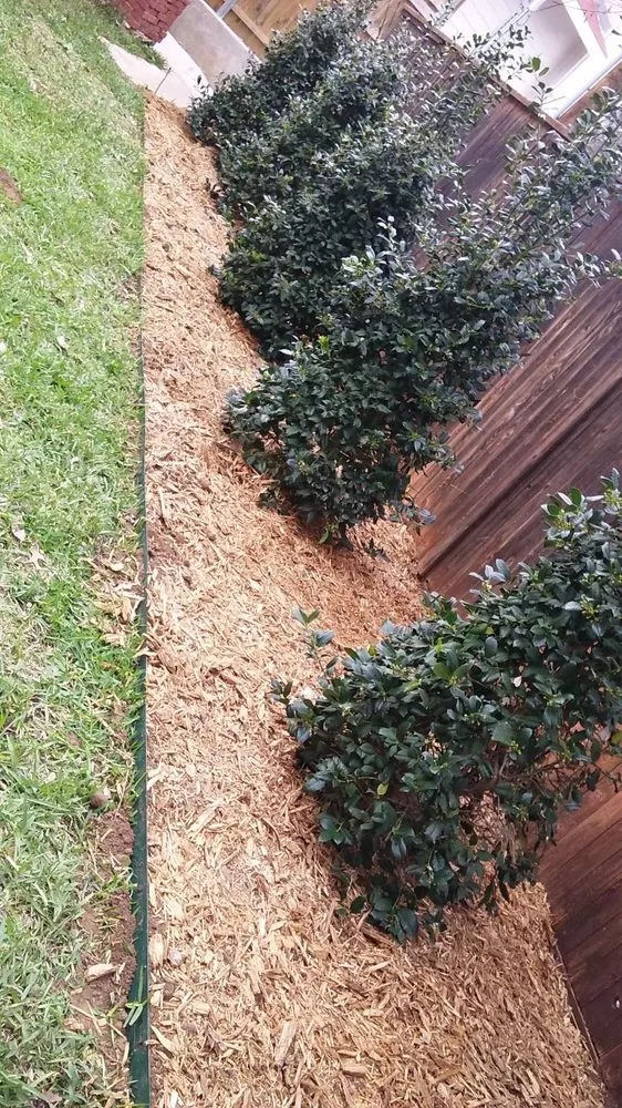 Affordable landscaping services in Grapevine, TX by Flowerbeds Landscaping Clean Trim Mulch