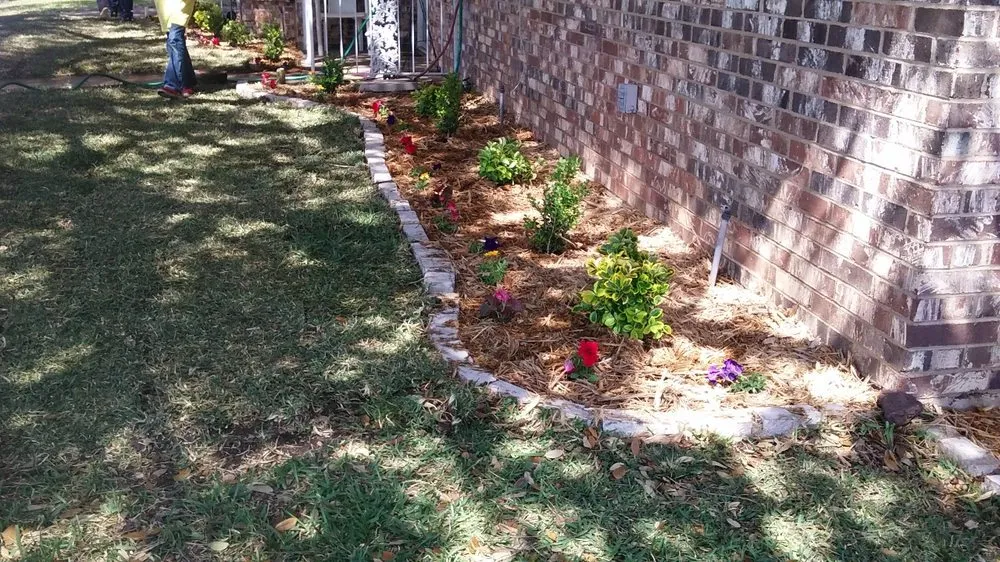 Top-rated yard cleanup service in Grapevine, TX - Flowerbeds Landscaping Clean Trim Mulch