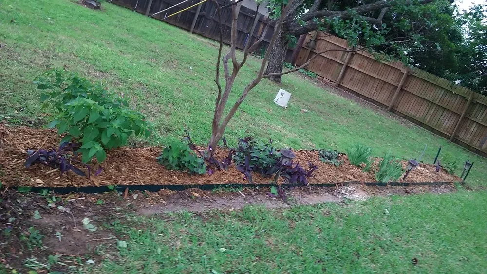 Local landscape design near you across Grapevine, TX - Flowerbeds Landscaping Clean Trim Mulch