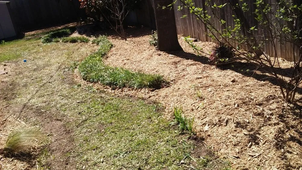 Custom landscape installation in Grapevine, TX - Flowerbeds Landscaping Clean Trim Mulch