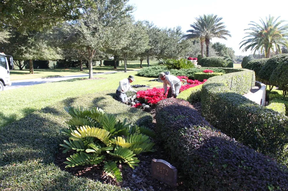 Professional landscape installation in Windermere, FL - Flowerbomb Landscaping