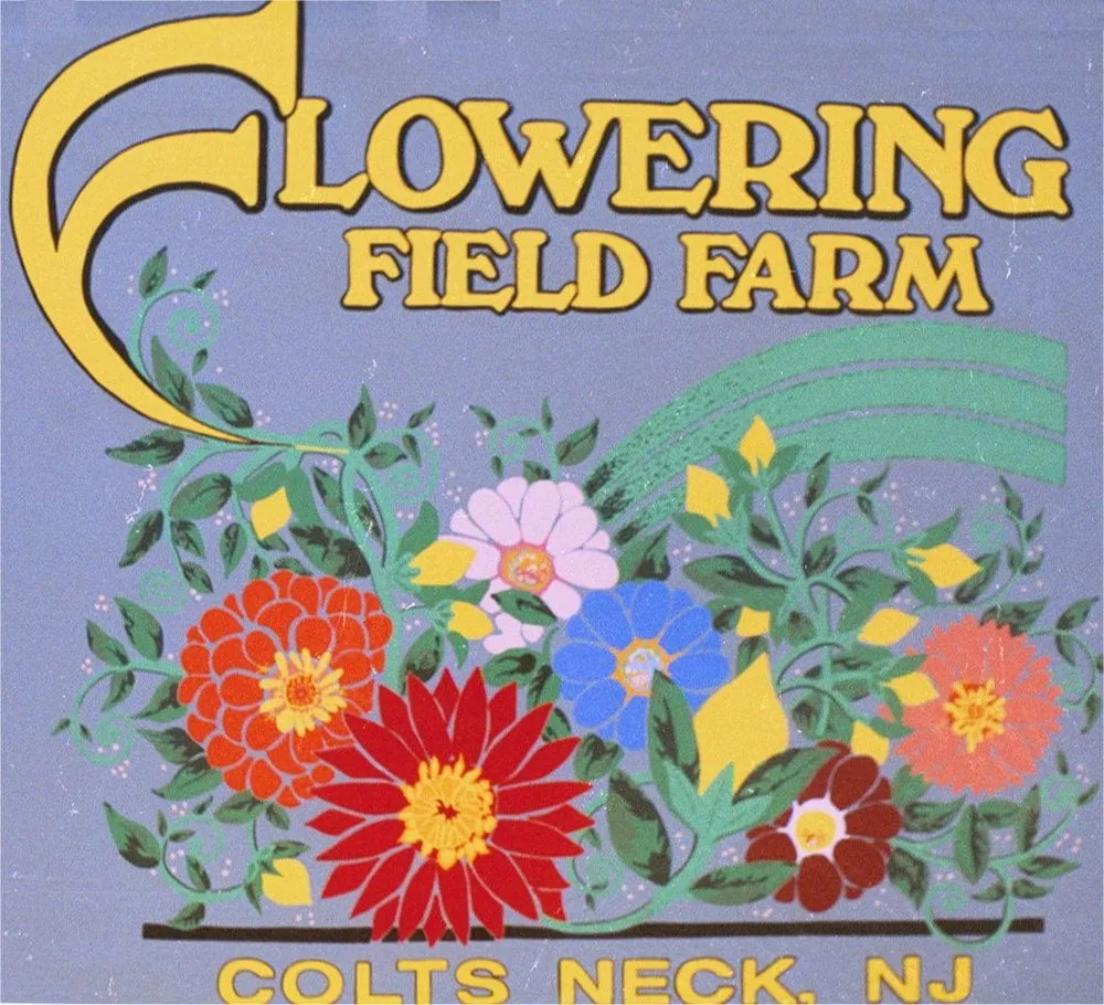 Trusted landscape installation in Cumming, GA - Flowering Field Designs