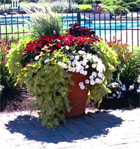 Trusted residential landscaping in Cumming, GA by Flowering Field Designs