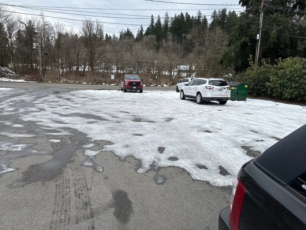 Custom yard maintenance in Bremerton, WA - Flowers And Colors Landscaping