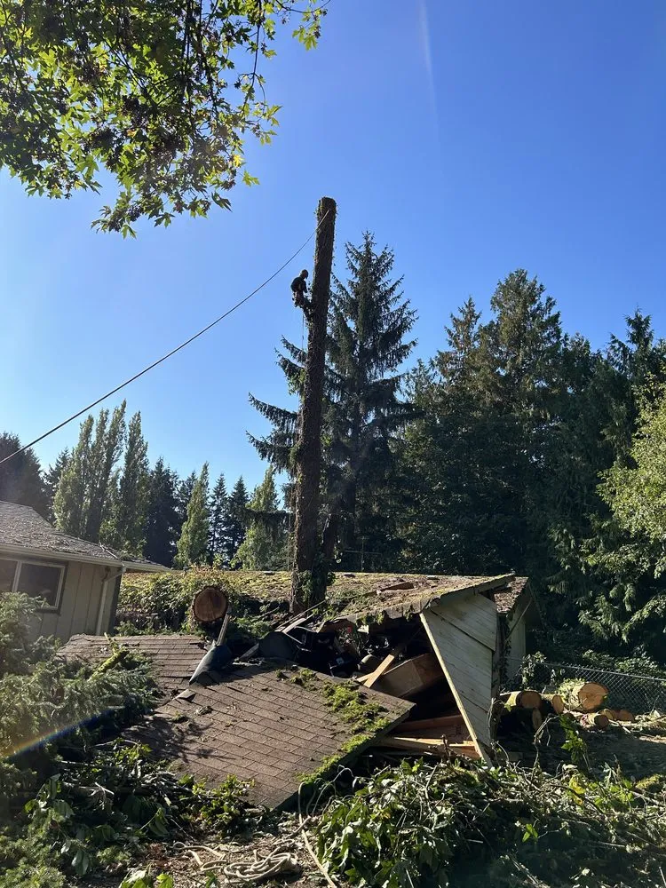 Top-rated lawn care service experts serving Bremerton, WA - Flowers And Colors Landscaping