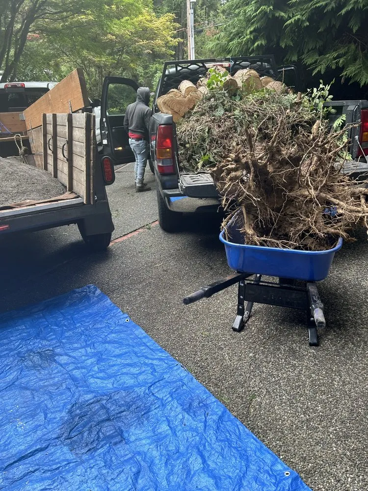 Affordable yard maintenance in Bremerton, WA by Flowers And Colors Landscaping