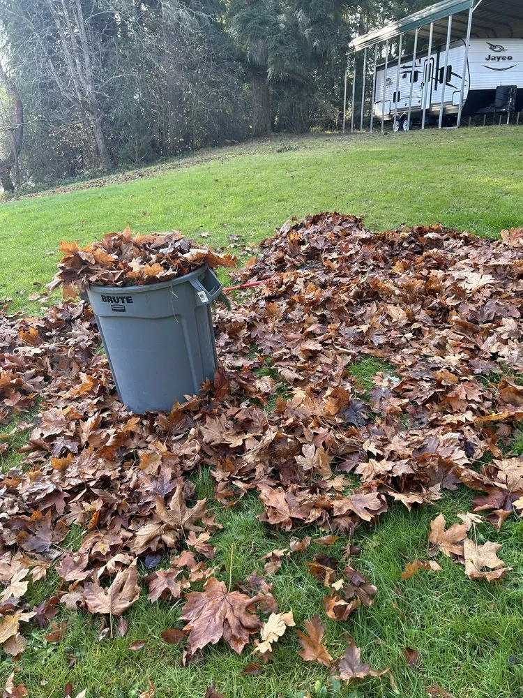 Affordable lawn care service in Bremerton, WA - Flowers And Colors Landscaping