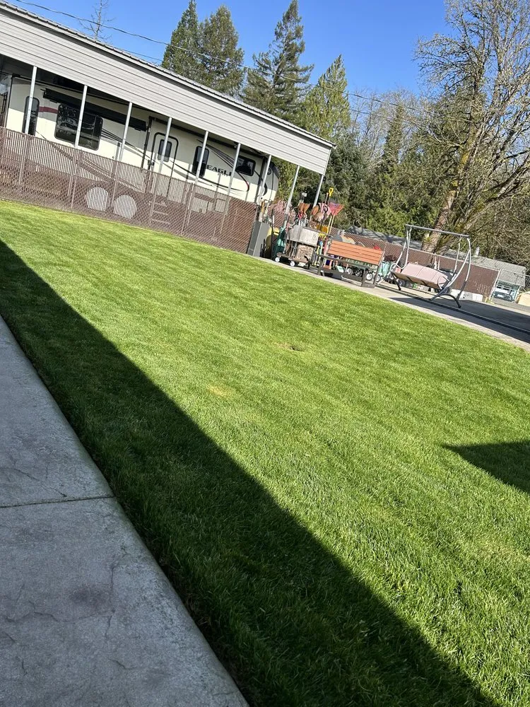 Top-rated landscaping services for beautiful yards in Bremerton, WA by Flowers And Colors Landscaping