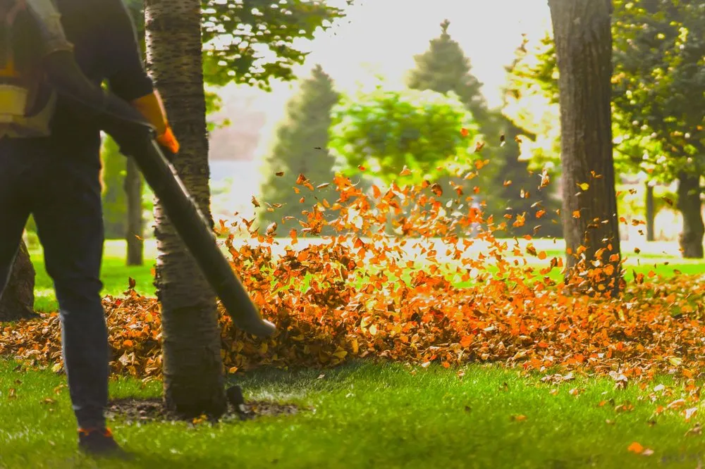 Affordable yard maintenance in Bremerton, WA by Flowers And Colors Landscaping
