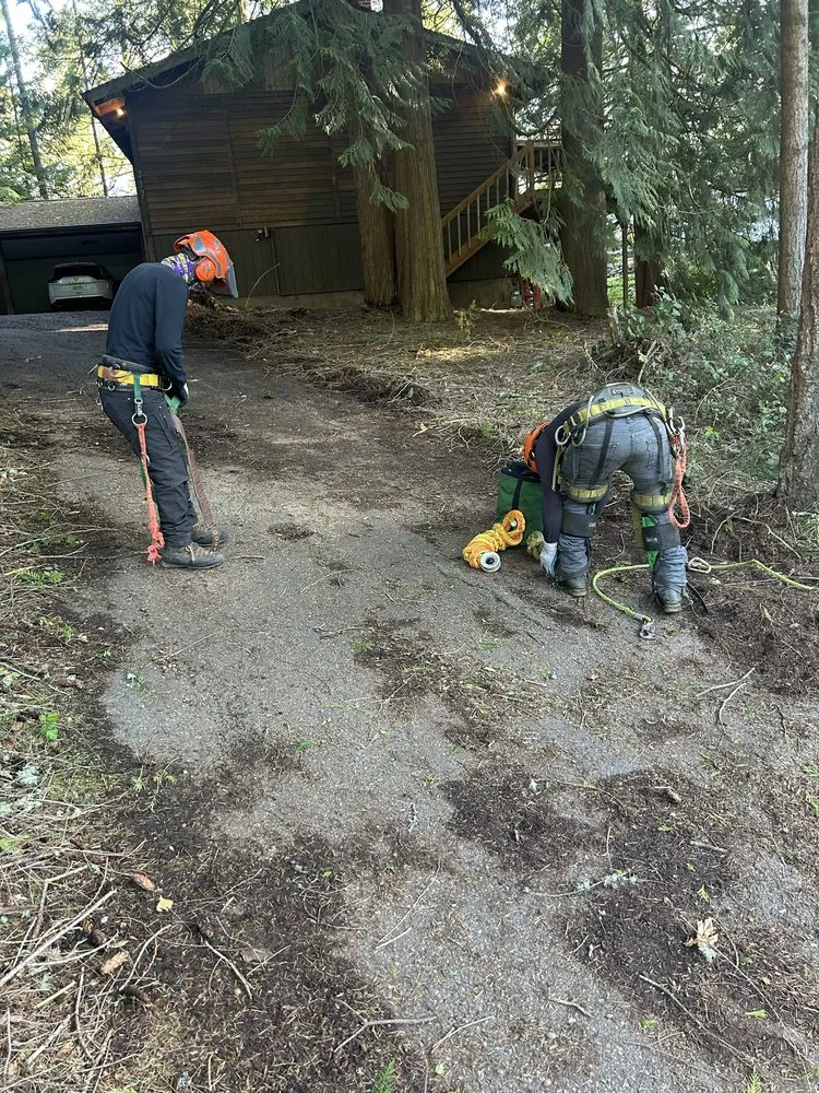 Trusted yard cleanup service in Bremerton, WA - Flowers And Colors Landscaping