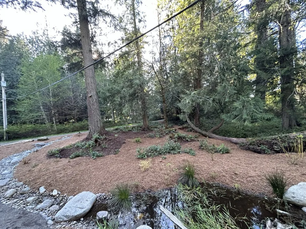 Affordable lawn care service in Bremerton, WA - Flowers And Colors Landscaping