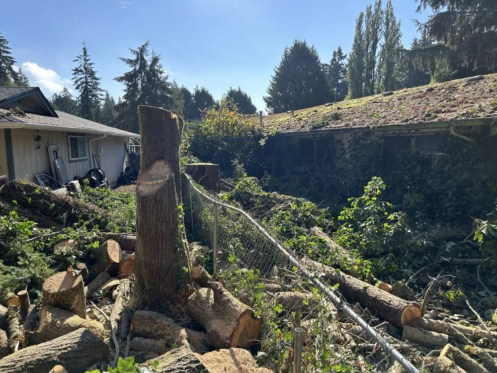 Affordable landscaping services for beautiful yards across Bremerton, WA - Flowers And Colors Landscaping