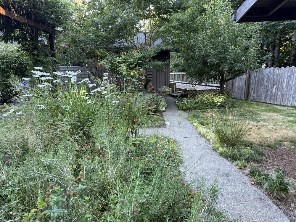 Custom yard cleanup service in Bremerton, WA by Flowers And Colors Landscaping