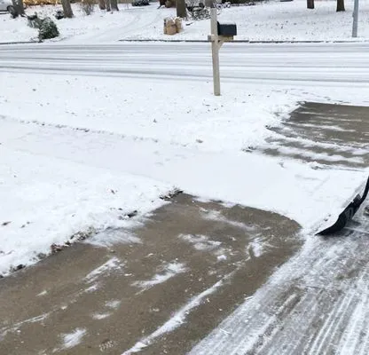 Flowers And Colors Landscaping