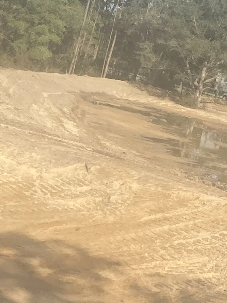 Professional yard cleanup service in Pensacola, FL by Flowers And Land Clearing