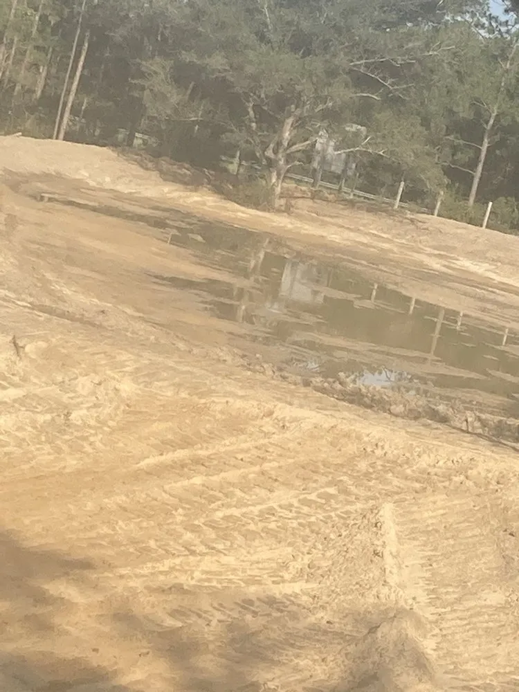 Expert yard maintenance in Pensacola, FL - Flowers And Land Clearing