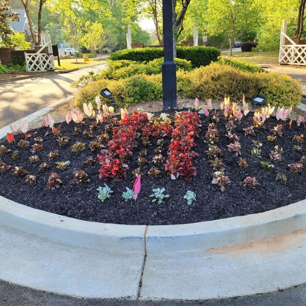 Affordable yard cleanup service experts serving Fayetteville, GA - Flowers for Friends - Landscaping Services