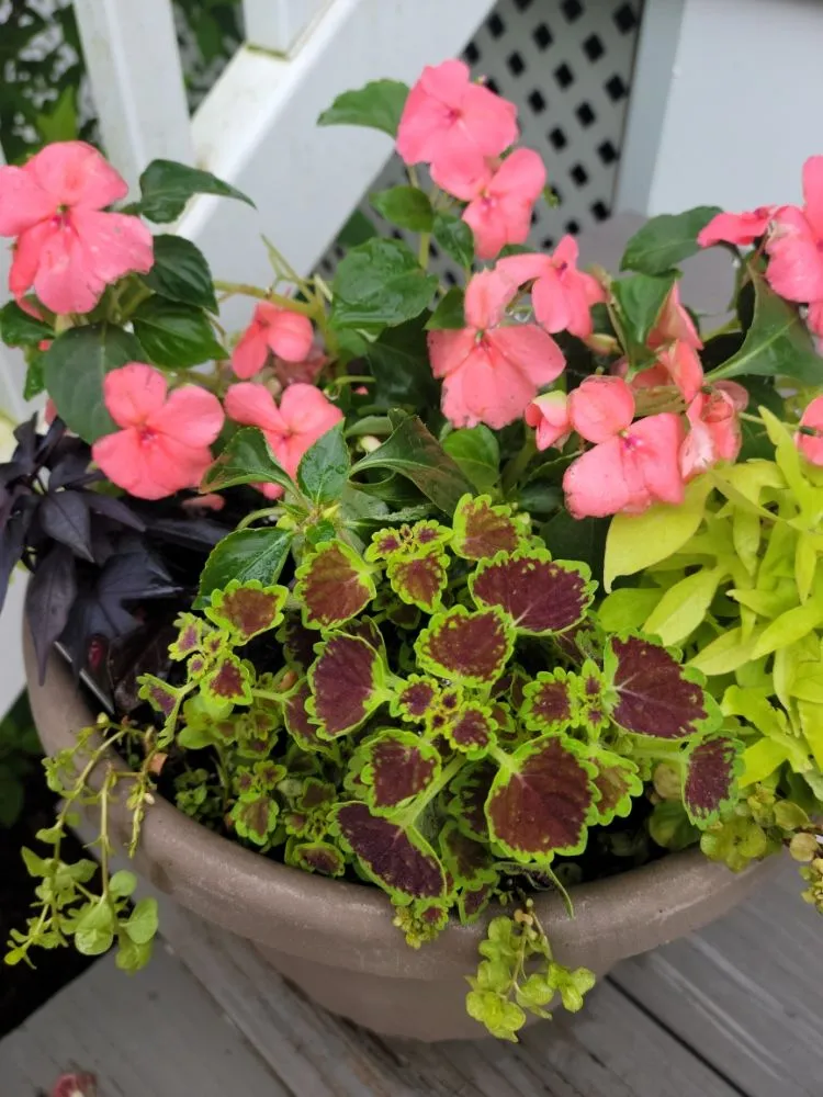 Reliable outdoor landscaping in Fayetteville, GA by Flowers for Friends - Landscaping Services