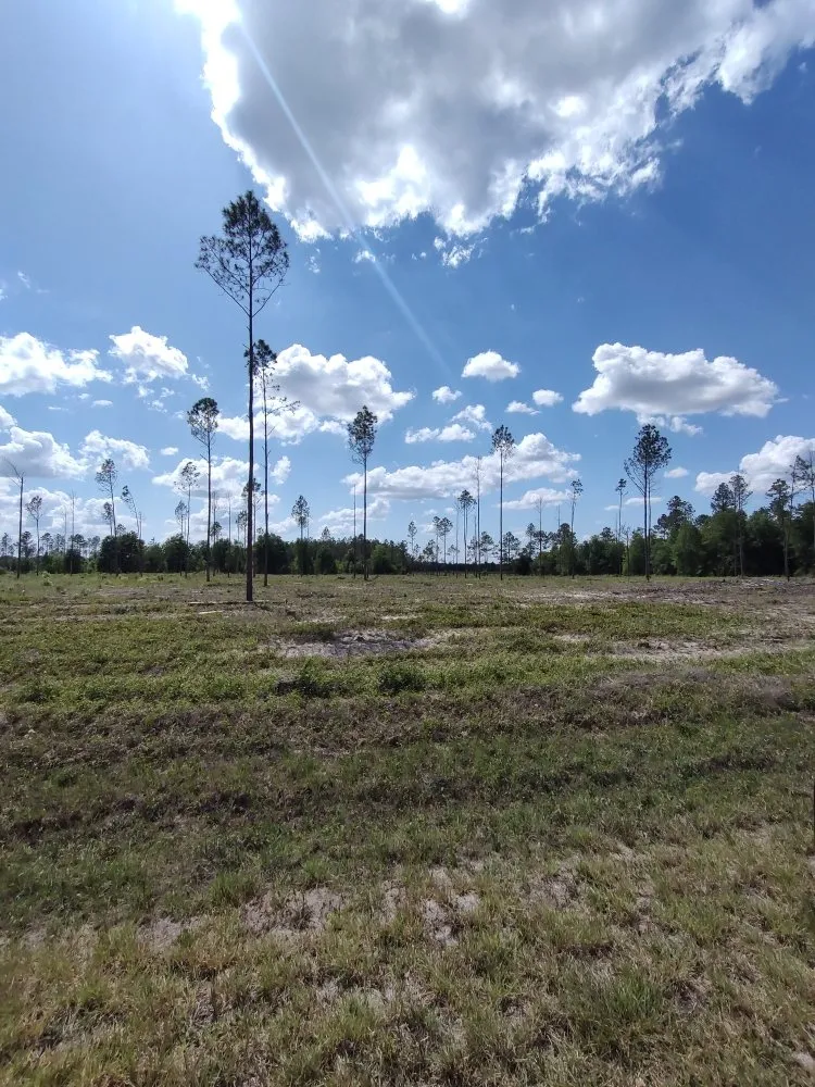 Affordable outdoor landscaping in Live Oak, FL - Flowers Land Clearing