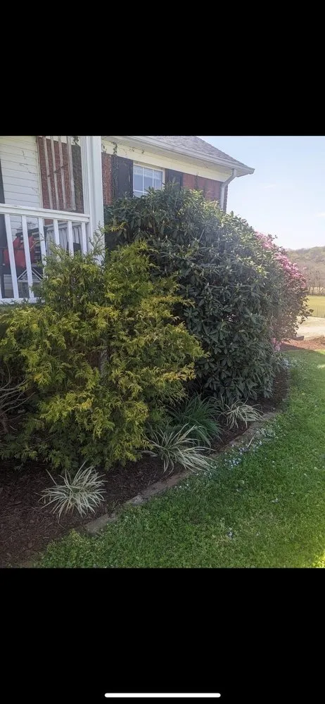 Top-rated landscape installation for outdoor upgrades in Eagleville, TN by Flowers Landscaping