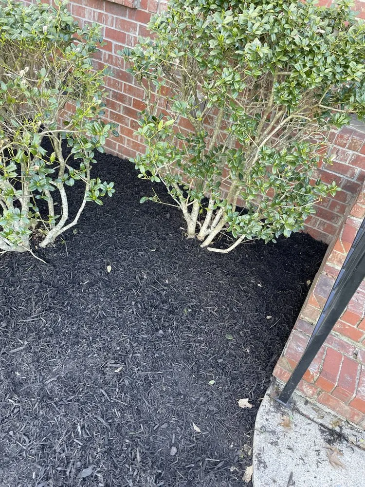 Trusted landscape installation experts serving Eagleville, TN - Flowers Landscaping