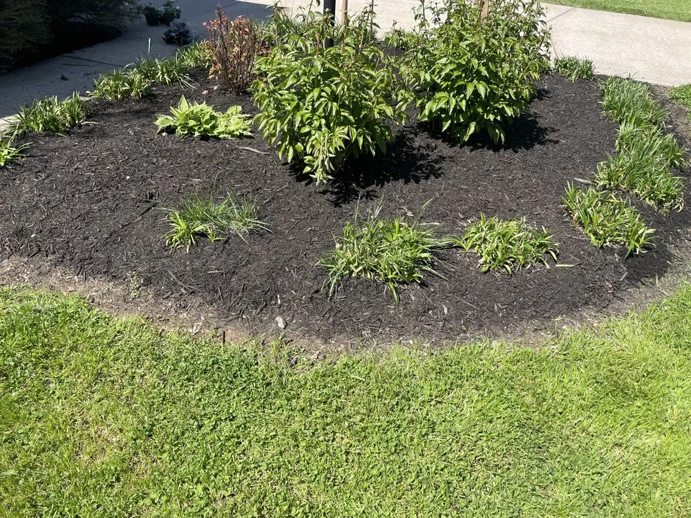 Trusted lawn mowing service for outdoor upgrades across Eagleville, TN - Flowers Landscaping