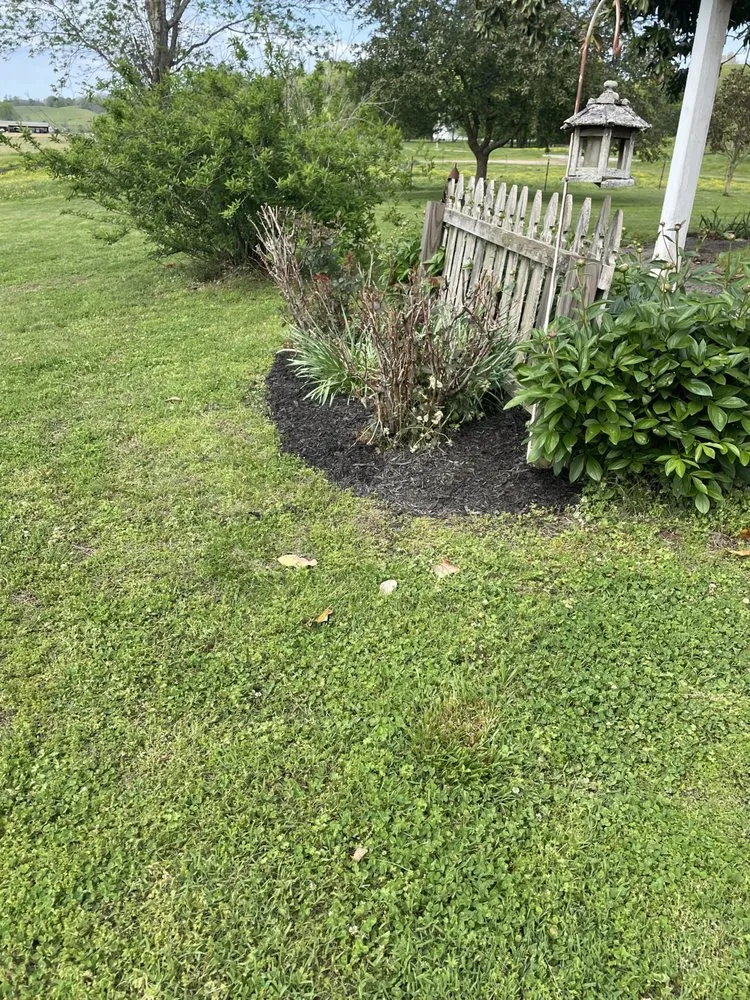 Trusted yard maintenance in Eagleville, TN by Flowers Landscaping