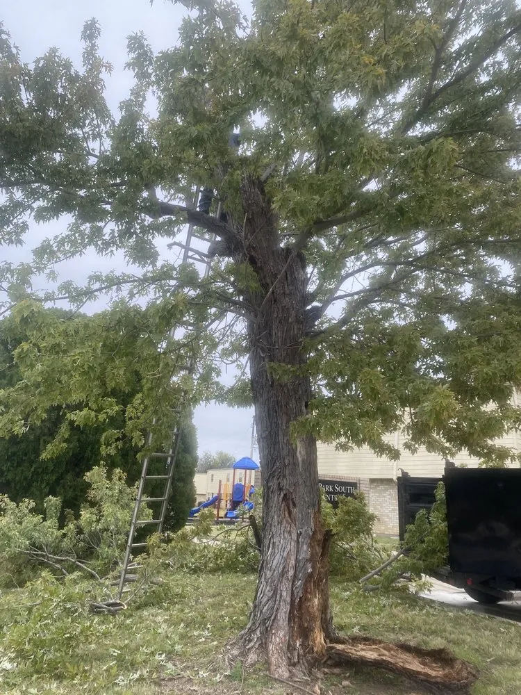 Professional garden landscaping for outdoor upgrades in Kopperl, TX by Flowers Lawncare And Landscaping